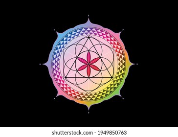 Flower of Life symbol Sacred Geometry. Colorful gradient Lotus round Logo icon Geometric mystic mandala of alchemy esoteric Seed of life. Vector divine meditative amulet isolated on black background