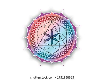 Flower of Life symbol Sacred Geometry. Colorful gradient Lotus round Logo icon Geometric mystic mandala of alchemy esoteric Seed of life. Vector divine meditative amulet isolated on white background