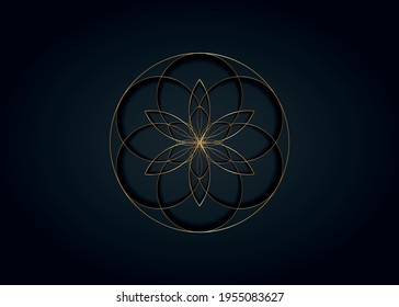 Símbolo de la flor de la vida Geometría sagrada. Icono del logotipo de lujo oro línea redonda arte místico geométrico mandala de la alquimia Semilla esotérica de la vida. Amuleto meditativo vectorial aislado en fondo negro