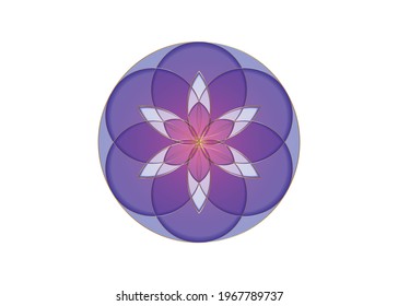 Flower of Life symbol Sacred Geometry. Gold Geometric mystic mandala of alchemy esoteric colorful Seed of Life in shade of purple color. Divine meditative amulet, vector isolated on white background