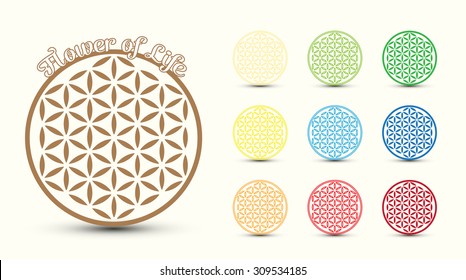 Flower of Life symbol, set of. Colorful variations