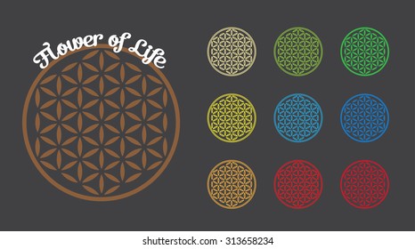 Flower of Life symbol, set of. Colorful variations