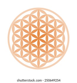 Flower of Life Symbol - Vector Set (Chakra Colours) 