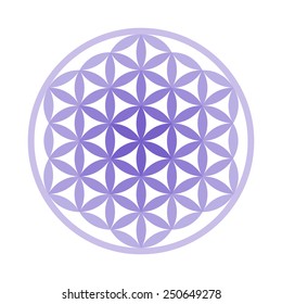 Flower of Life Symbol - Vector Set (Chakra Colours)