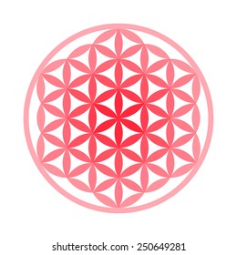 Flower of Life Symbol - Vector Set (Chakra Colours) 