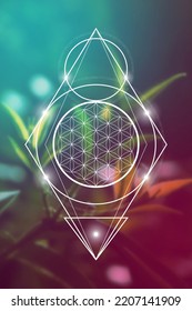 Flower of life. Tree of life. Sacred geometry spiritual new age futuristic illustration with transmutation interlocking circles, triangles and glowing particles