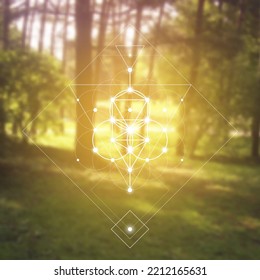 Flower of life. Tree of life. Sacred geometry spiritual new age futuristic illustration with transmutation interlocking circles, triangles and glowing particles
