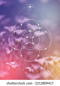 Flower of life. Tree of life. Sacred geometry spiritual new age futuristic illustration with transmutation interlocking circles, triangles and glowing particles