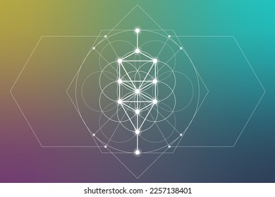 Flower of life. Tree of life. Sacred geometry spiritual new age futuristic illustration with transmutation interlocking circles, triangles and glowing particles