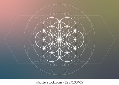 Flower of life. Tree of life. Sacred geometry spiritual new age futuristic illustration with transmutation interlocking circles, triangles and glowing particles