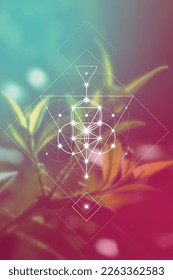 Flor de vida. Árbol de vida. Geometría sagrada nueva era espiritual ilustración futurista con círculos interbloqueantes transmutados, triángulos y partículas brillantes