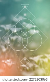 Flower of life. Tree of life. Sacred geometry spiritual new age futuristic illustration with transmutation interlocking circles, triangles and glowing particles