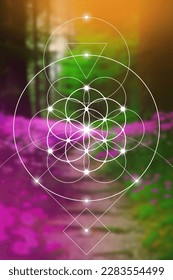 Flower of life. Tree of life. Sacred geometry spiritual new age futuristic illustration with transmutation interlocking circles, triangles and glowing particles