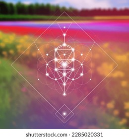 Flower of life. Tree of life. Sacred geometry spiritual new age futuristic illustration with transmutation interlocking circles, triangles and glowing particles