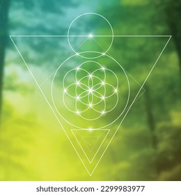 Flower of life. Tree of life. Sacred geometry spiritual new age futuristic illustration with transmutation interlocking circles, triangles and glowing particles
