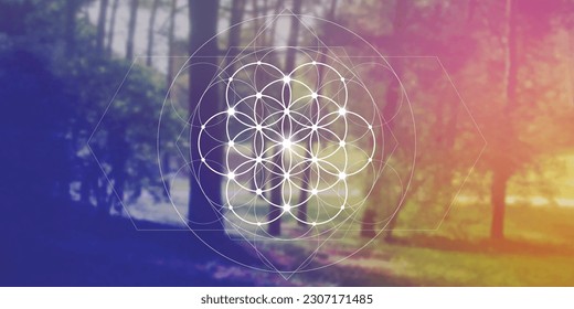 Flower of life. Tree of life. Sacred geometry spiritual new age futuristic illustration with transmutation interlocking circles, triangles and glowing particles