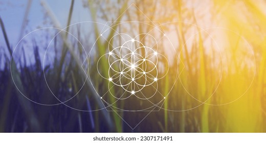 Flower of life. Tree of life. Sacred geometry spiritual new age futuristic illustration with transmutation interlocking circles, triangles and glowing particles