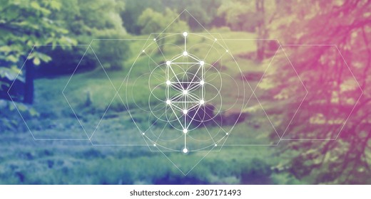 Flower of life. Tree of life. Sacred geometry spiritual new age futuristic illustration with transmutation interlocking circles, triangles and glowing particles