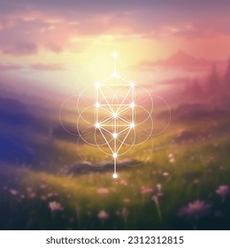 Flower of life and tree of life sacred geometry kabbalah symbol in front of repeating interlocking circles pattern and blurry photo background.