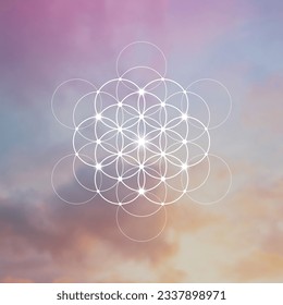 Flower of life. Tree of life. Sacred geometry spiritual new age futuristic illustration with transmutation interlocking circles, triangles and glowing particles