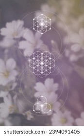 Flower of life. Tree of life. Sacred geometry spiritual new age futuristic illustration with transmutation interlocking circles, triangles and glowing particles
