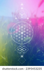 Flower of life. Tree of life. Sacred geometry spiritual new age futuristic illustration with transmutation interlocking circles, triangles and glowing particles