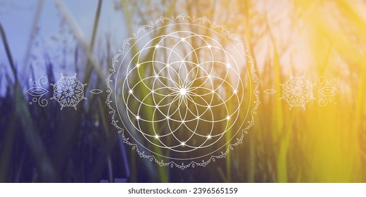 Flower of life. Tree of life. Sacred geometry spiritual new age futuristic illustration with transmutation interlocking circles, triangles and glowing particles