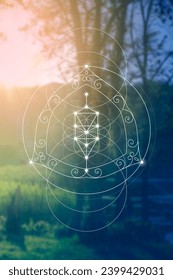 Flower of life. Tree of life. Sacred geometry spiritual new age futuristic illustration with transmutation interlocking circles, triangles and glowing particles