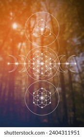Flower of life. Tree of life. Sacred geometry spiritual new age futuristic illustration with transmutation interlocking circles, triangles and glowing