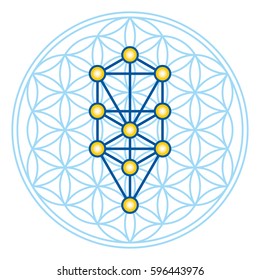 Flower of Life in Tree of Life. Sephirots of Kabbalah in ancient symmetrical symbol, composed of multiple overlapping circles, forming a flower like pattern. Sacred geometry. Illustration. Vector.