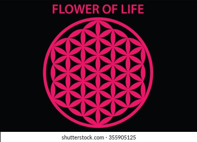 Flower of life vector