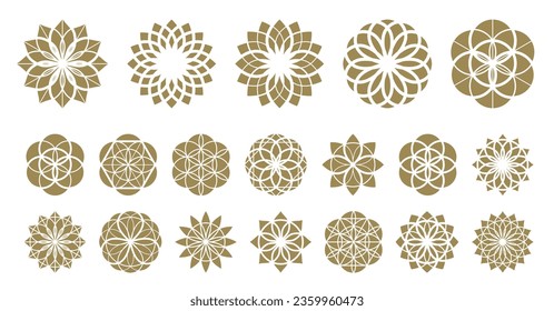 Flower of life vector ancient esoteric symbol big vector set.