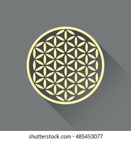 Flower of life vector, flat design