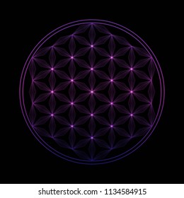 Flower of life vector  icon