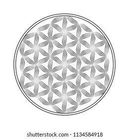 Flower of life vector  icon