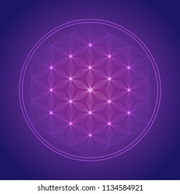 Flower of life vector  icon
