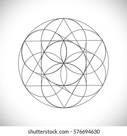 Flower of Life. Vector illustration.