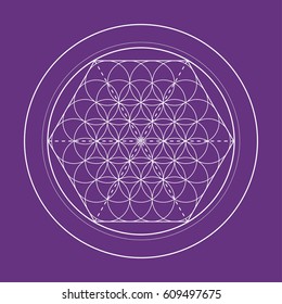 flower of life vector image, sacred geometry symbol