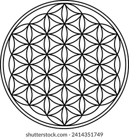 Flower of life vector isolated on white background. Sacred geometry symbol concept.