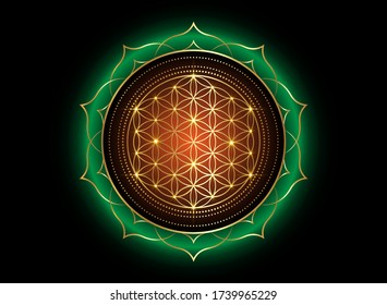 Flower of Life, Yantra Mandala in the lotus flower, Sacred Geometry. Bright golden symbol of harmony and balance. Mystical gold shiny colorful talisman, vector isolated on black background 