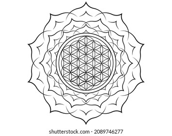 Flower of Life, Yantra Mandala in the lotus flower, Sacred Geometry. Black print tattoo symbol of harmony and balance. Mystical talisman, vector isolated on white background 