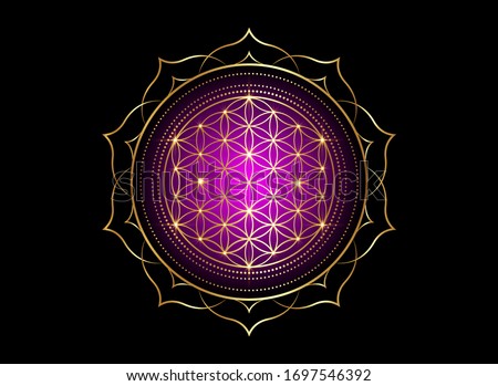 Flower of Life, Yantra Mandala in the lotus flower, Sacred Geometry. Bright golden symbol of harmony and balance. Mystical gold shiny talisman in purple color, vector isolated on black background 