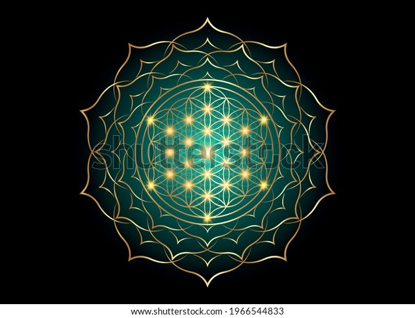 Flower Life Yantra Mandala Lotus Flower Stock Vector (Royalty Free