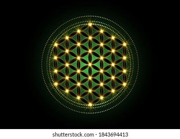 Flower of Life, Yantra Mandala, Sacred Geometry, glow Metatrons cube. Bright golden symbol of harmony and balance. Mystical gold shiny talisman in green color, vector isolated on black background 