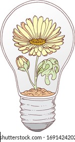 Una flor en una bombilla.