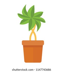 
A flower like leafy plant characterizing shigarami 
