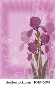 Flower lilac background for greetings card with iris, butterflies, rays, circles and figures. Vector eps10, contains transparencies