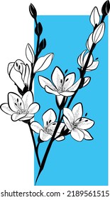 Flower lily bouquet beautiful sketch hand drawing for elegant design. Garden theme illustration