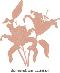 Flower of lily with bud and leaves.Vector