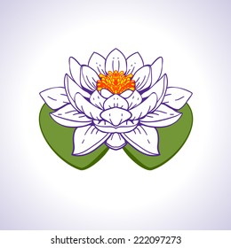 Flower and lily leaf on a white background